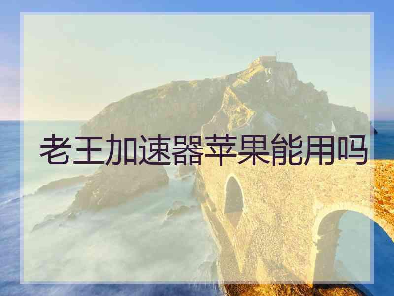 老王加速器苹果能用吗